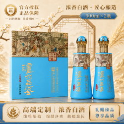 泸州老窖 股份 52度 浓香型白酒 500ml 两瓶 礼盒装
