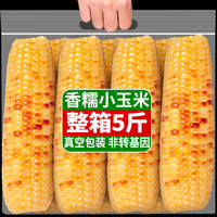 滇购 10斤云南西双版纳香糯小玉米真空包装新鲜傣族即食花糯玉米棒早餐 香糯小玉米1斤