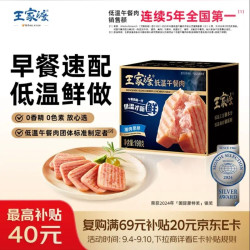 王家渡 低温午餐肉肠 猪肉原味 198g