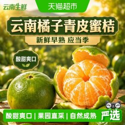 寻天果蔬 云南青皮蜜桔