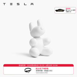 特斯拉 官方 萌宠模式耐咬玩具