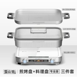 Taigroo IC-C20N01.S 电磁炉
