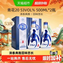 汾酒 53度青花20清香型白酒500ml*2瓶商务宴请送礼#值酒发现官#