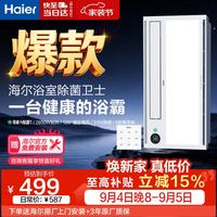 海尔 HD28R 双电机风暖浴霸