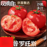 山东普罗旺斯西红柿新鲜自然熟水果当季沙瓤西红柿蔬菜 普罗旺斯4斤带箱