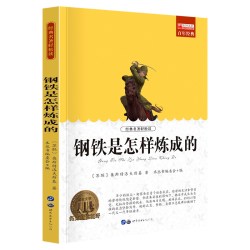名著钢铁是怎样炼成的 世界名著书籍原著正版经典初中生学生青少年课外书小学生四五六年级阅读世界名著 搭