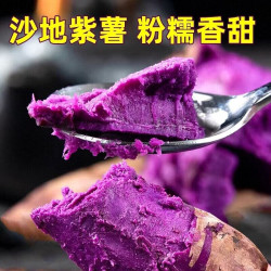 紫薯红薯当季新鲜蔬菜现挖蜜薯粉糯香甜农家自种紫罗兰紫心薯沙地
