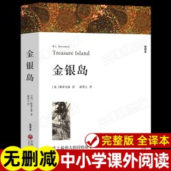 金银岛 斯蒂文森著 正版原著完整版无删减中文版附插图 成人小学生初中生高中生阅读课外书课外阅读书籍世