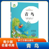青鸟-青少版名著书库(全译本) 7-12岁儿童文学故事小学生一二三四五六年级课外阅读 浙江古籍出版社