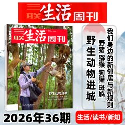 三联生活周刊杂志2026年1-9月4-36期新（含情感/科技专题/全年/半年订阅/四大博物馆）看天下