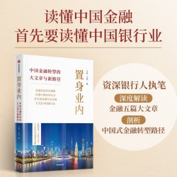 当当网 置身业内：中国金融转型的大文章与新路径 中国金融五篇大文章的落地实操 盘活实体经济解码中国金