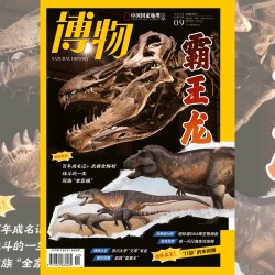 博物杂志2026年1/2/3/4/5/6月刊 桃花  博物杂志2025年全年12期典藏版 中国国家