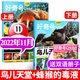 1-8/9月新好奇号杂志2026/2025年1-12月送双语册子 中小学生儿童通识科学科普历史传奇