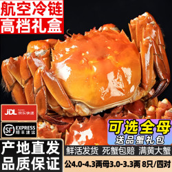 阳澄圣宣大闸蟹 特大鲜活大螃蟹公母蟹 水产生鲜海鲜礼盒 公4.0-4.3两母3.0-3.3两 8只/四对 礼盒装