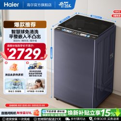 海尔 精华洗10kg双动力免清洗全自动家用波轮洗衣机689