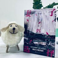 当当网黄雀决小说王炸来袭 影视小说原著正版书