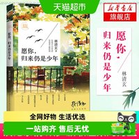 愿你归来仍是少年 林清玄 现当代文学书籍畅销书排行榜经典文学