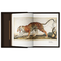  WALTON FORD 沃尔特·福特画集原版进口[TASCHEN]图书 善本图书