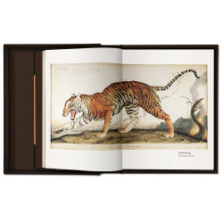  WALTON FORD 沃尔特·福特画集原版进口[TASCHEN]图书 善本图书
