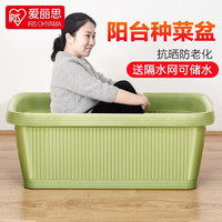 爱丽思 种菜盆蔬菜种植箱塑料特大号阳台种菜专用箱神器(50cm长)绿色 送隔网