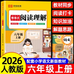 六年级上册下册阅读理解专项训练书人教版小学生6年级上学期课外阅读强化专项训练习带拼音同步语文书籍人教同步练习册