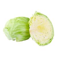 展卉 包菜卷心菜