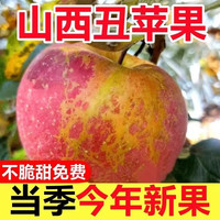 蔬戈 红富士苹果 冰糖心 5kg