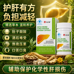 仁和 护肝胶囊瓶装护肝片新态牌玉米葛根枳椇子解酒养肝排毒加班熬夜