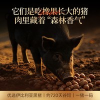 FRATELLI BERETTA FratelliBeretta西班牙火腿伊比利亚火腿切片黑猪后腿60g送礼即食