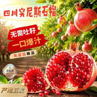 欧因 四川会理突尼斯软籽石榴2026品质水果现摘现发中秋送礼 带箱5斤实惠优选
