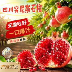 欧因 四川会理突尼斯软籽石榴2026品质水果现摘现发中秋送礼 带箱5斤实惠优选