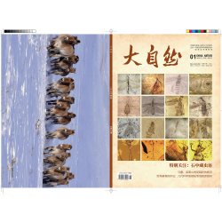 国家自然博物科普读物 《大自然》杂志2026年全年杂志