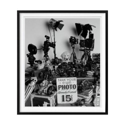 布鲁斯·韦伯 金毛摄影协会 Bruce Weber. Photographic Society