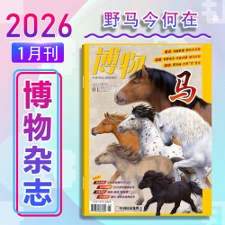 博物杂志订阅1-12月全年订阅美味博物学增刊中国国家地理商界少年杂志青少年版儿童杂志中小学生科普百科