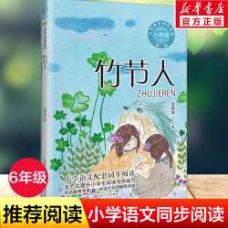 竹节人范锡林著 6年级上册小学语文同步阅读书系教材课文作家作品