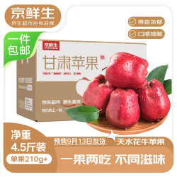 京鲜生 甘肃天水花牛苹果 3kg 单果230g起 粉面香甜 源头直发 净重4.5斤 单果230g+
