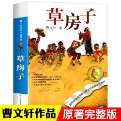 草房子正版 曹文轩纯美小说系列青铜葵花根鸟10-12岁四五