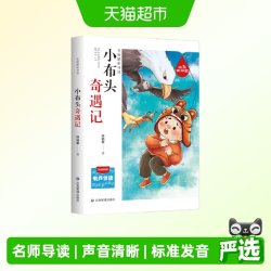 小布头奇遇记 正版书籍