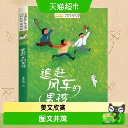 追赶风车的男孩 李学斌著 中国当代名家经典小学生课外阅读书籍