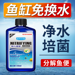 欧龙水族 硝化细菌硝化菌养鱼用品鱼缸净水剂活菌水质清澈剂除氯亚甲基菌王