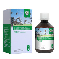豪翔六益清鹦鹉鸽子赛鸽信鸽用品