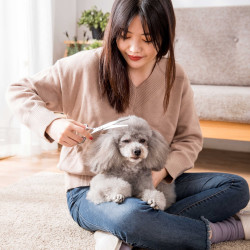 嬉皮狗 狗狗美容剪刀专业修毛套装弯剪宠物牙剪狗狗不易钝美容剪刀4168