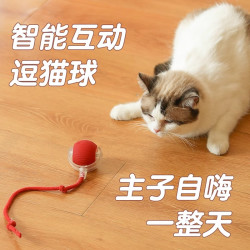 猫咪自嗨玩具智能跑跑球一键启动自动逗猫咪玩具小猫玩具解闷神器