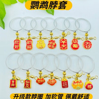 新款虎皮牡丹鹦鹉脖套鸟用链子外出用品绳栓鸟挂脖脖链脖圈遛鸟绳