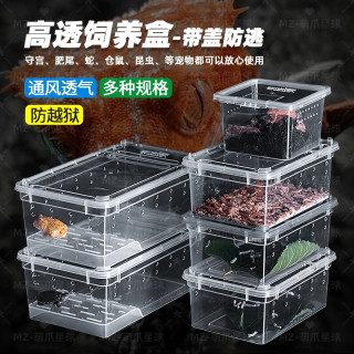 爬虫饲养盒蜘蛛角蛙蜗牛仓鼠守宫爬宠箱乌龟缸寄居蟹饲养缸生态缸