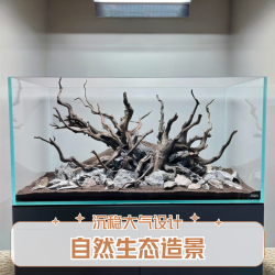 金晶超白玻璃鱼缸草缸客厅家用裸缸水族箱金晶超白鱼缸