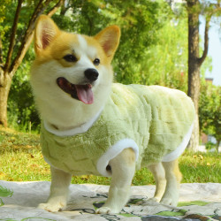 柯基柴犬泰迪腊肠狗狗衣服秋冬防掉毛马甲中型犬防脏保暖加绒背心