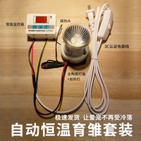 芦丁鸡温控器宠物恒温取暖灯爬宠太阳灯小鸡保暖灯幼鸡育雏加热灯