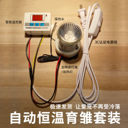 芦丁鸡温控器宠物恒温取暖灯爬宠太阳灯小鸡保暖灯幼鸡育雏加热灯