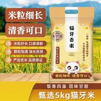 猫牙米贡米100%新米现磨现发南方大米猫牙大米丝苗米 猫牙贡米10斤